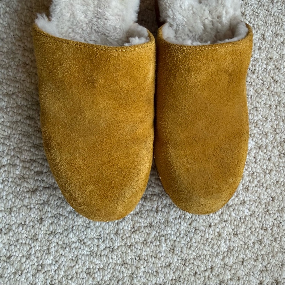 rag & bone Mustard Suede Shearling-Lined Clogs - Picture 12 of 12